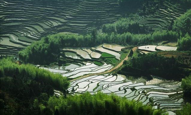 畬鄉(xiāng)梯田的農(nóng)耕美景