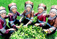 壯族服飾與女性的角色塑造