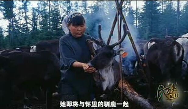【視頻】鄂溫克族紀(jì)實(shí)